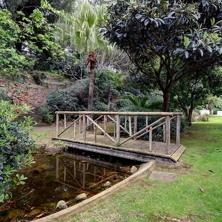 公寓 Center New And Luxurious On The 627 马尔韦利亚