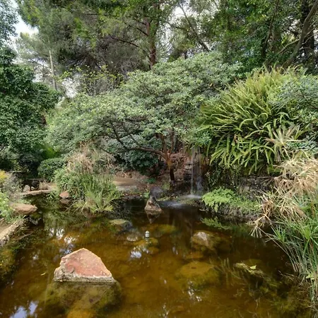 Center New And Luxurious On The 627 アパート マルベーリャ