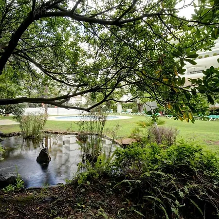 Center New And Luxurious On The 627